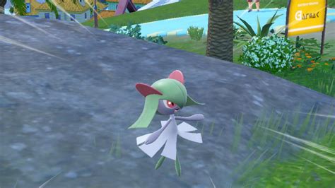 melhor nature para gallade.